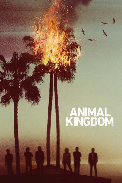 ცხოველთა სამეფო / Animal Kingdom