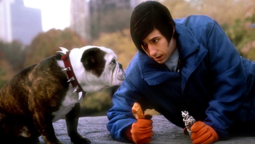 ნიკი, უმცროსი ეშმაკი / Little Nicky
