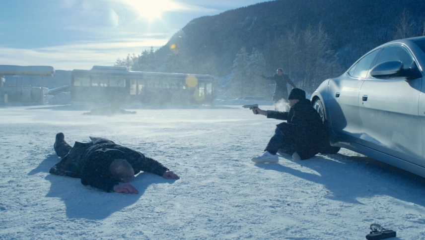 სულელური საქმე / In Order of Disappearance