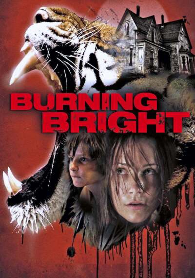 კაშკაშა სინათლე / Burning Bright