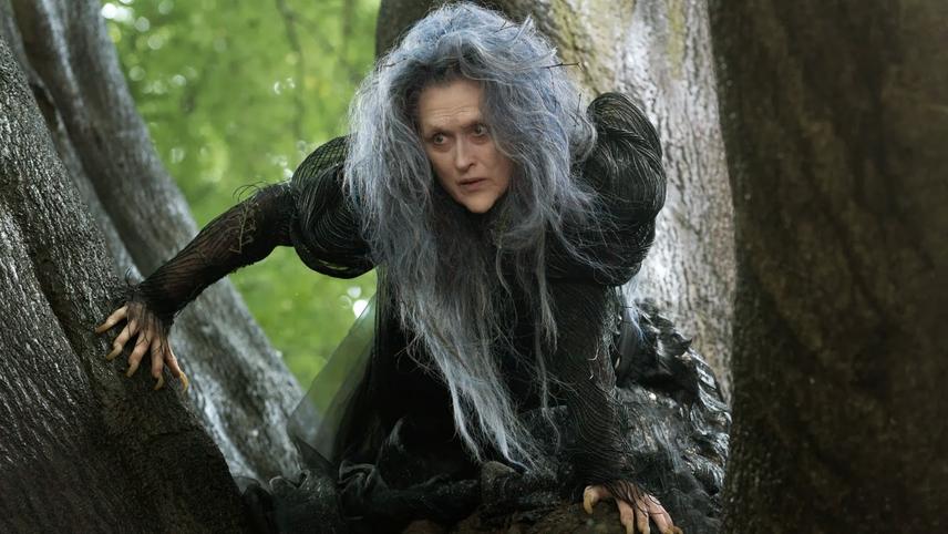 ტყეში / Into the Woods