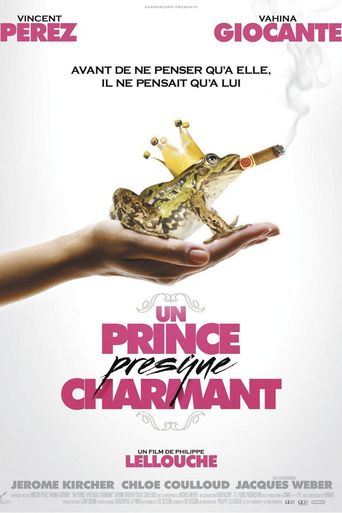 მომხიბლავი პრინცი / Un prince (presque) charmant