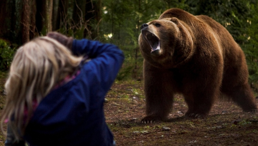 გრიზლი / Into the Grizzly Maze