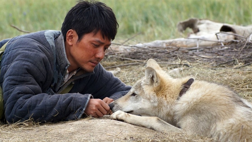 მგელი ტოტემი / Wolf Totem