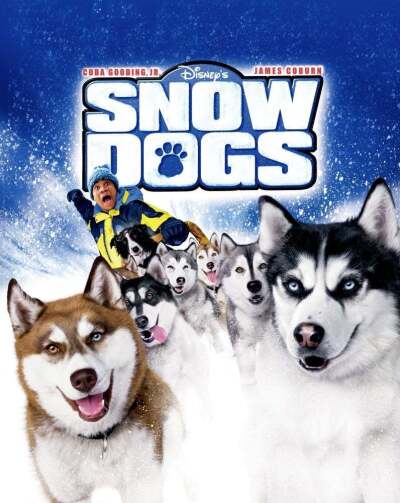 ზამთრის ძაღლები / Snow Dogs