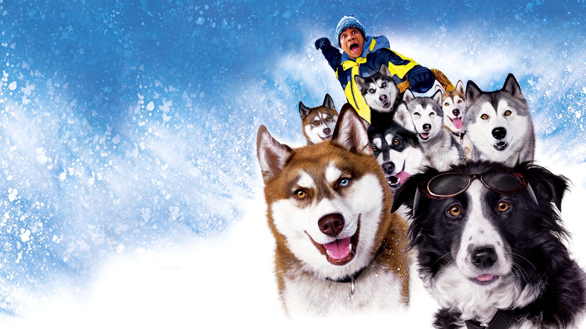 ზამთრის ძაღლები / Snow Dogs