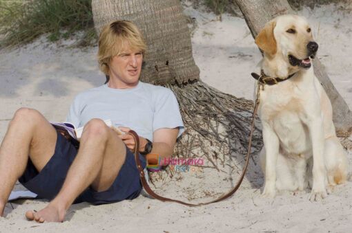 მარლი და მე / Marley & Me