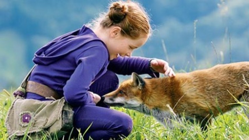 მელია და ბავშვი / The Fox & the Child