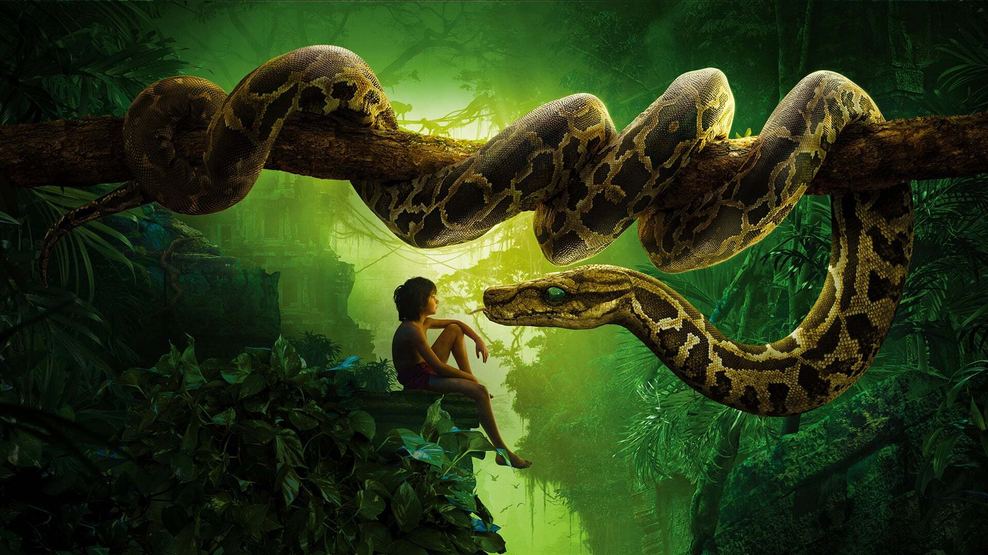 ჯუნგლების წიგნი / The Jungle Book