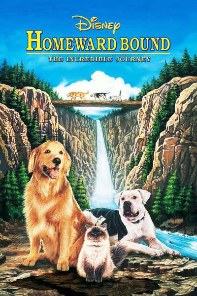 გზა შინისაკენ: საოცარი მოგზაურობა / Homeward Bound: The Incredible Journey