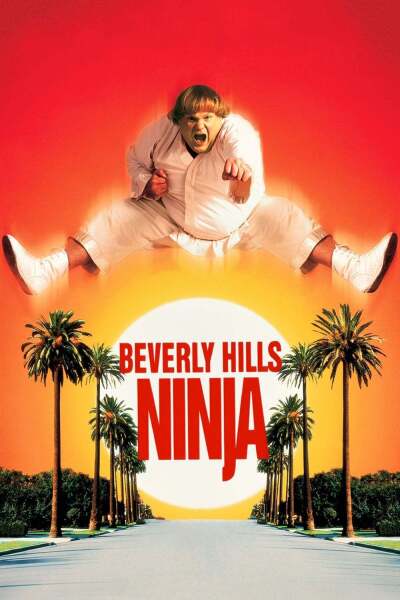 ნინძა ბევერლი ჰილზიდან / Beverly Hills Ninja