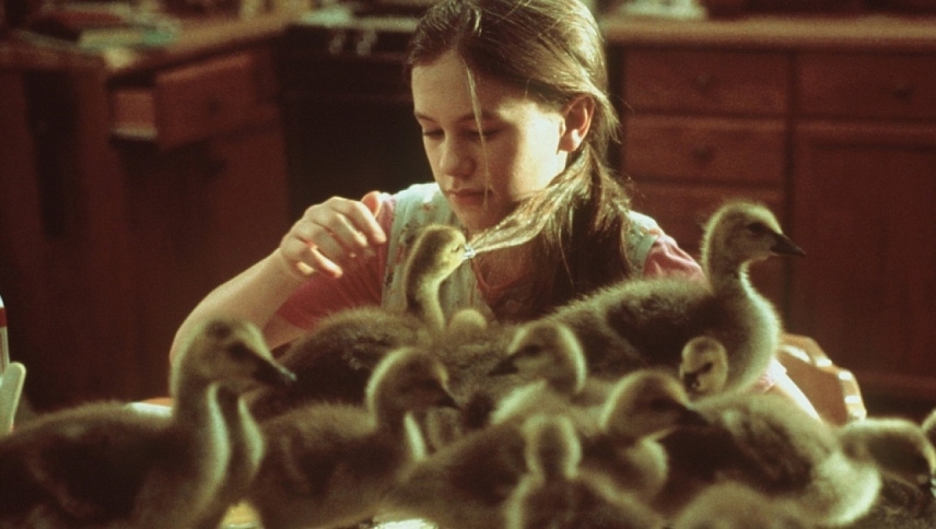 გაფრინდით სახლში / Fly Away Home