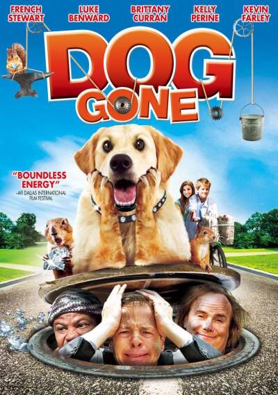 დაკარგული ძაღლი / Dog Gone