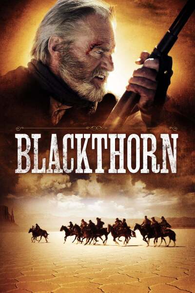 კვრინ­ჩხი / Blackthorn