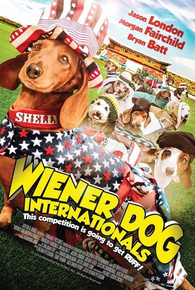 ძაღლების საერთაშორისო შეჯიბრი / Wiener Dog Internationals