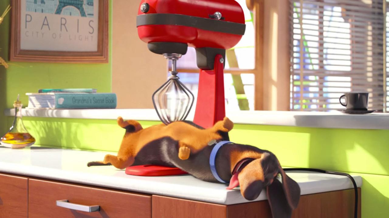 შინაური ცხოველების საიდუმლო ცხოვრება / The Secret Life of Pets