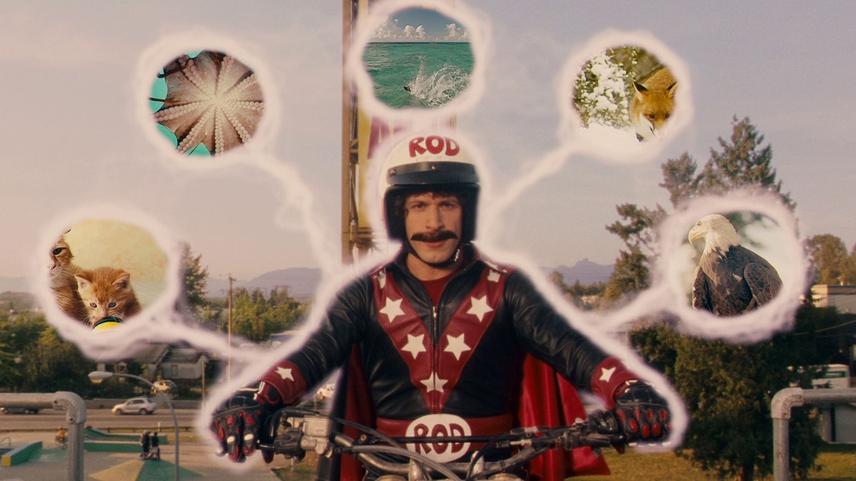 მაგარი ბიჭი / Hot Rod