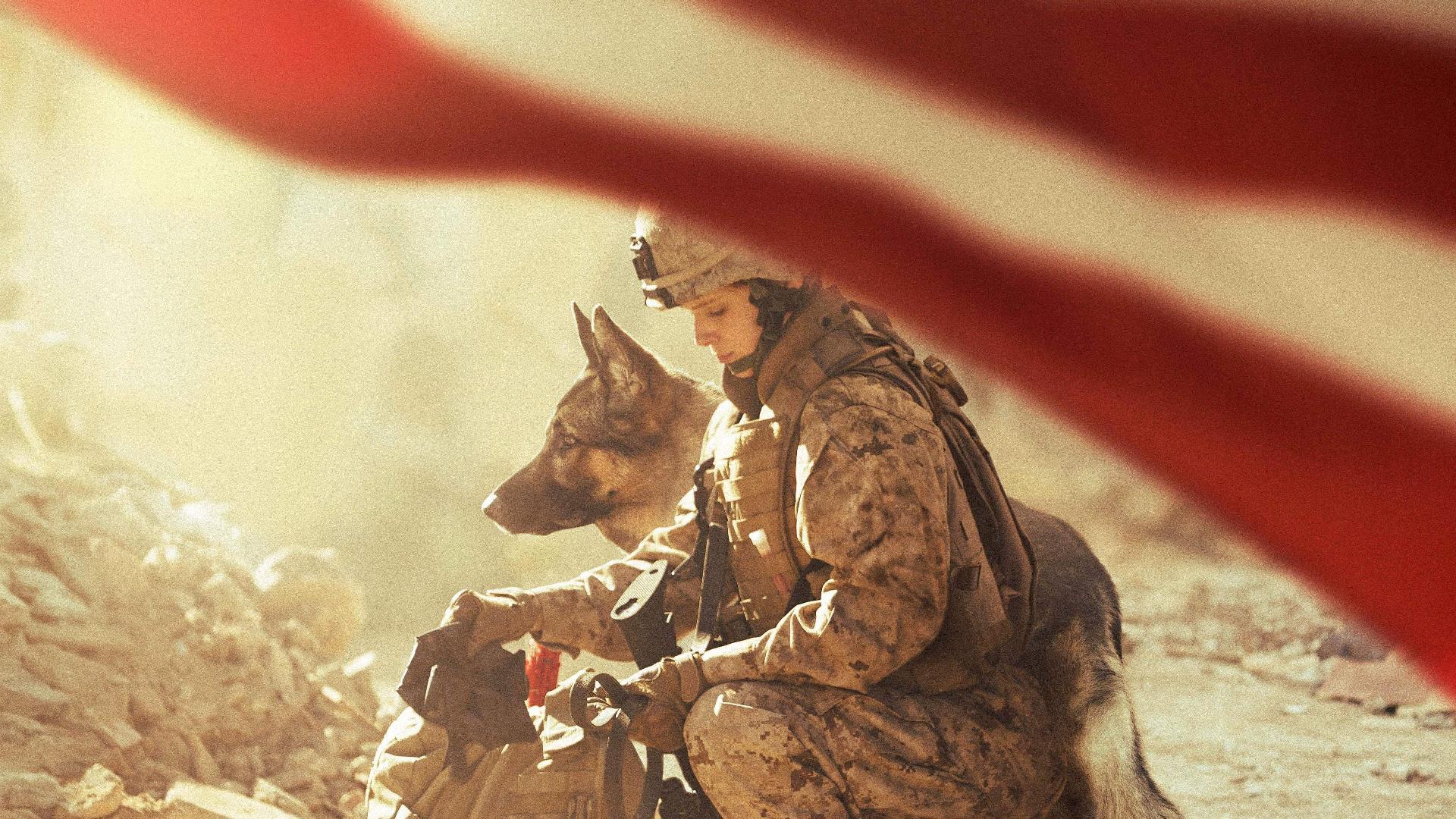 მეგან ლივი / Megan Leavey
