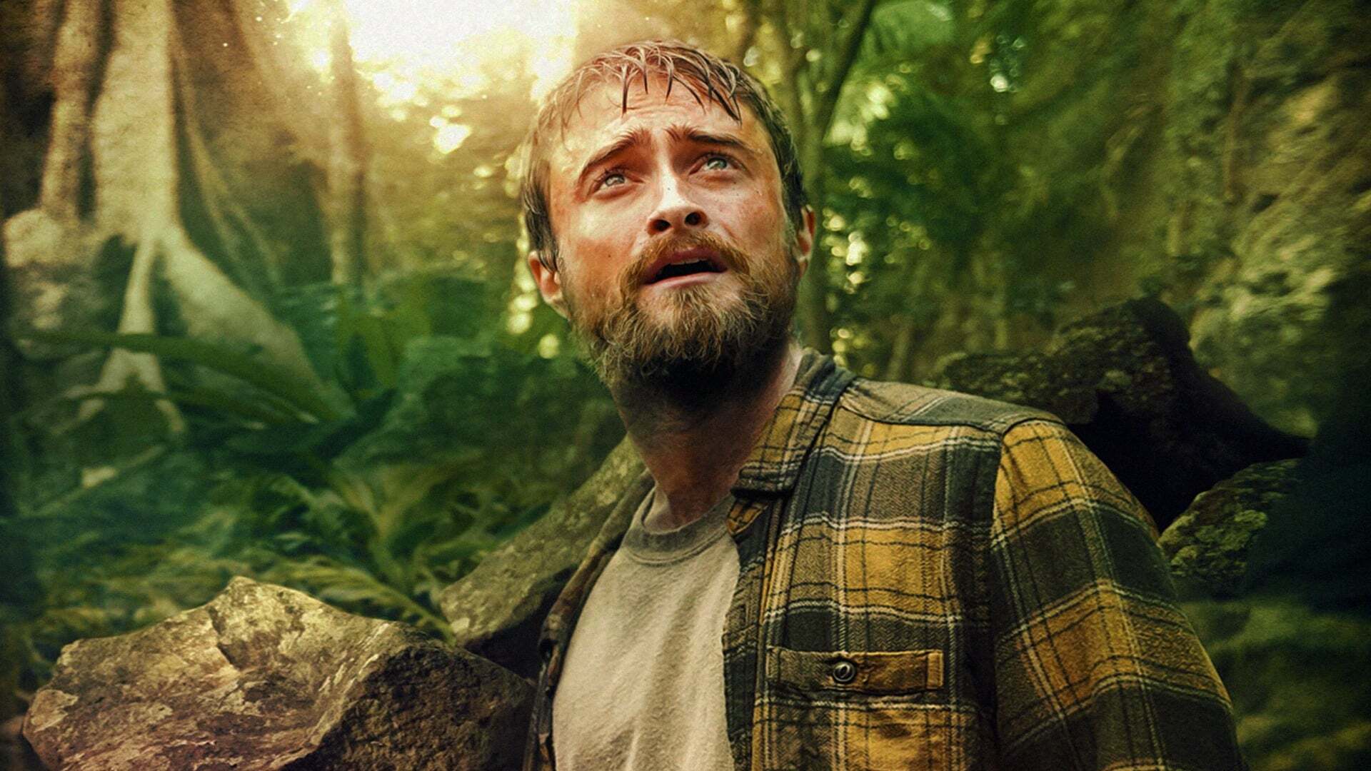 ჯუნგლები / Jungle