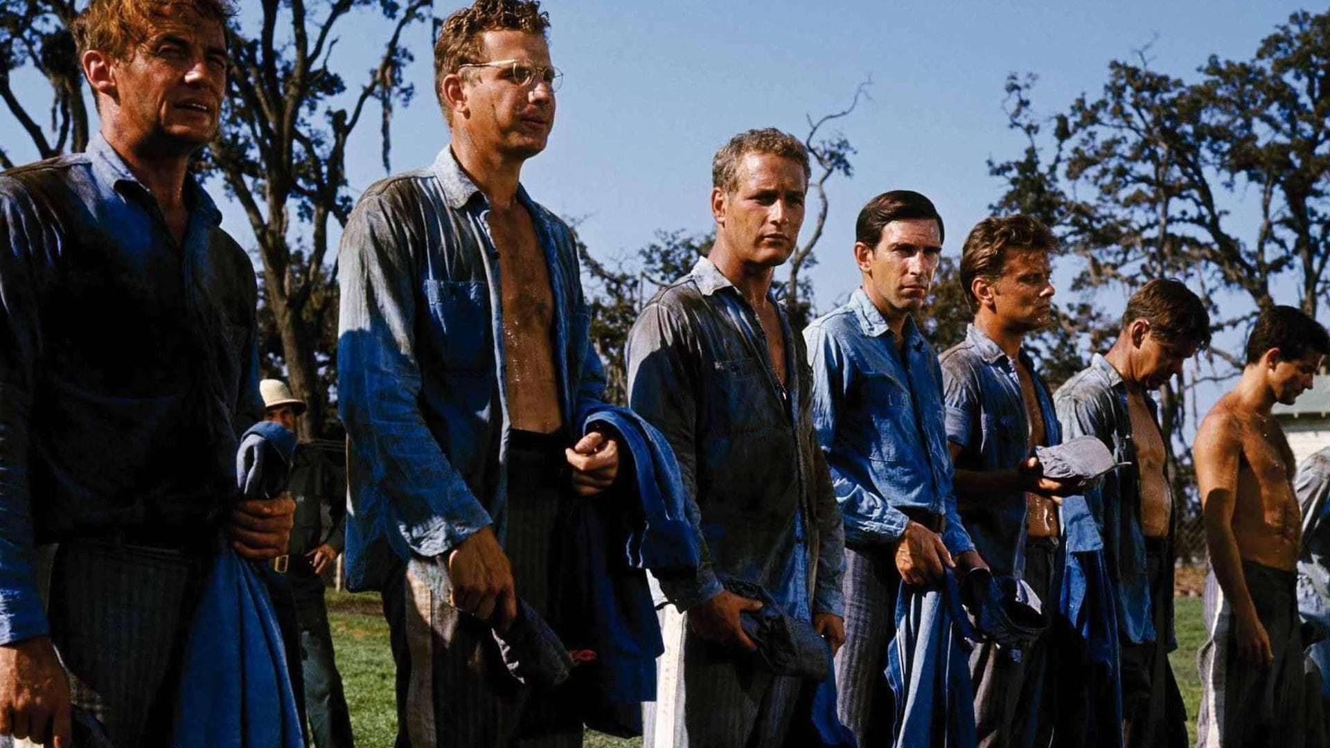 გულგრილი ლიუკი / Cool Hand Luke