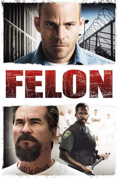 ბოროტმოქმედი / Felon