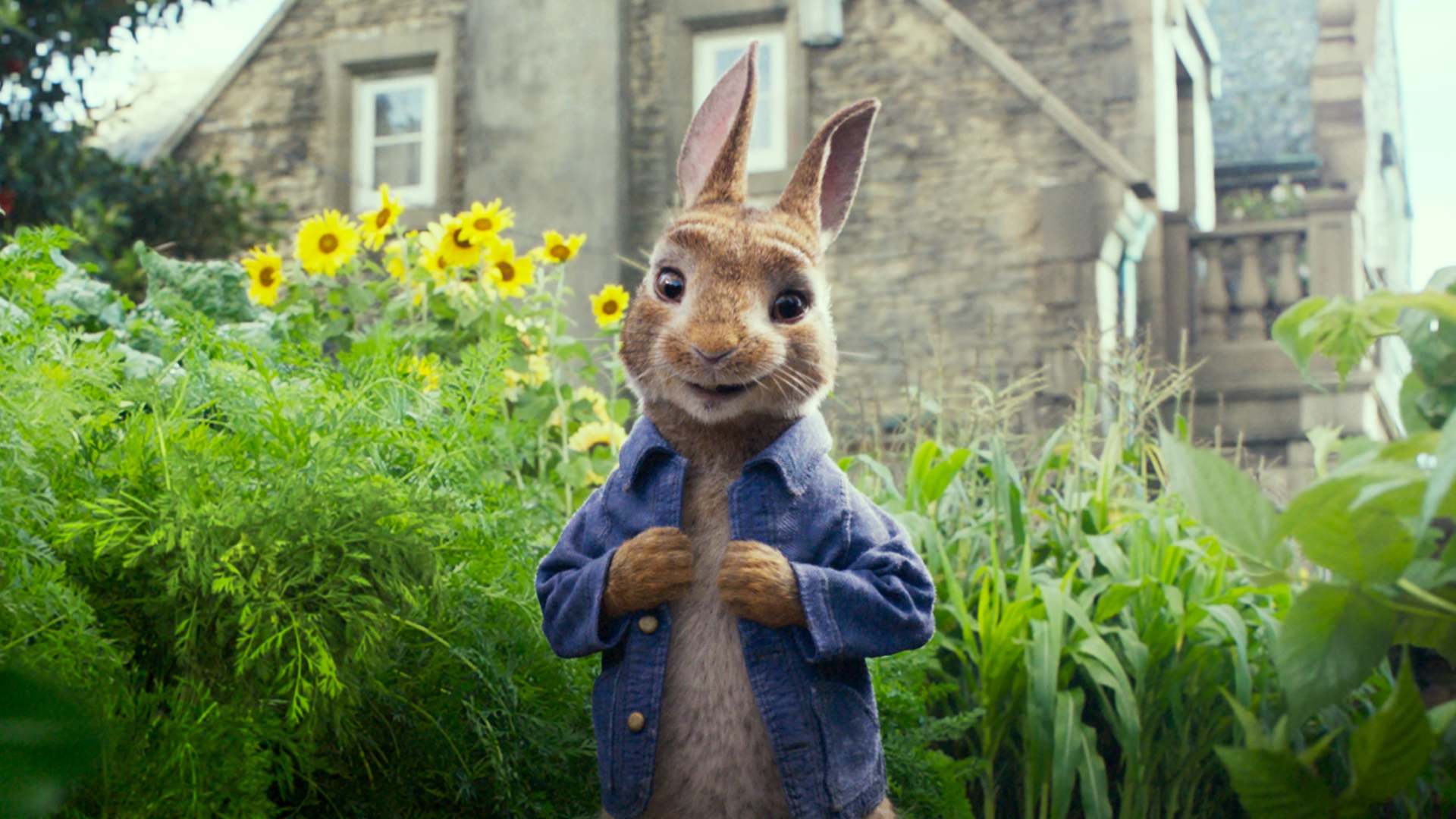 კურდღელი პიტერის თავგადასავალი / Peter Rabbit