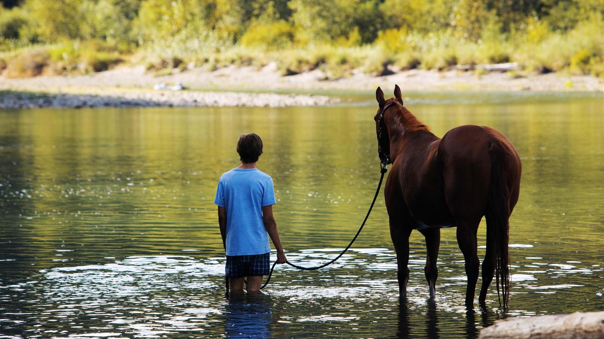 ქონდეთ პიტის იმედი / Lean on Pete