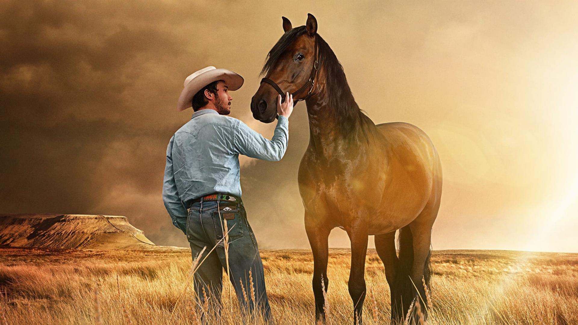 მხედარი / The Rider