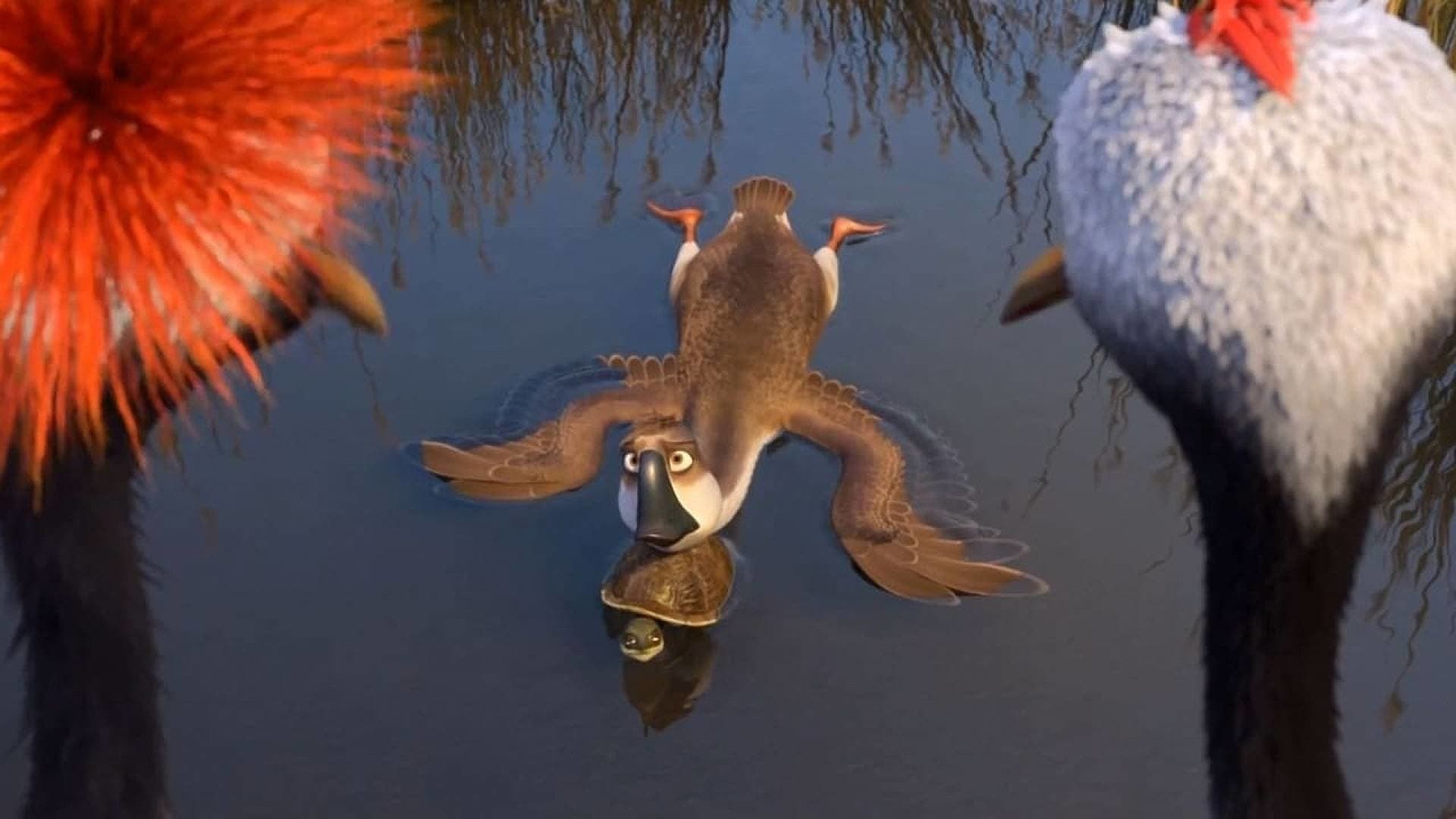 იხვი იხვი ბატი / Duck Duck Goose