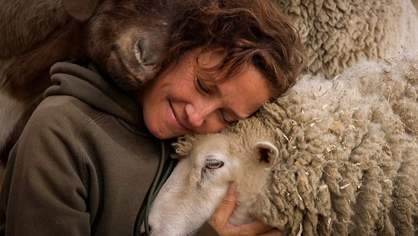 ხორცის დასასრული / The End of Meat