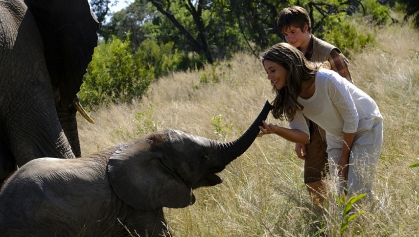 სპილოს თავგადასავალი / An Elephant's Journey