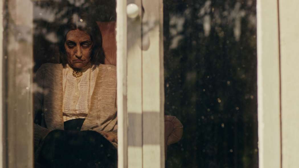ჯადოქარი ფანჯარაში / The Witch in the Window