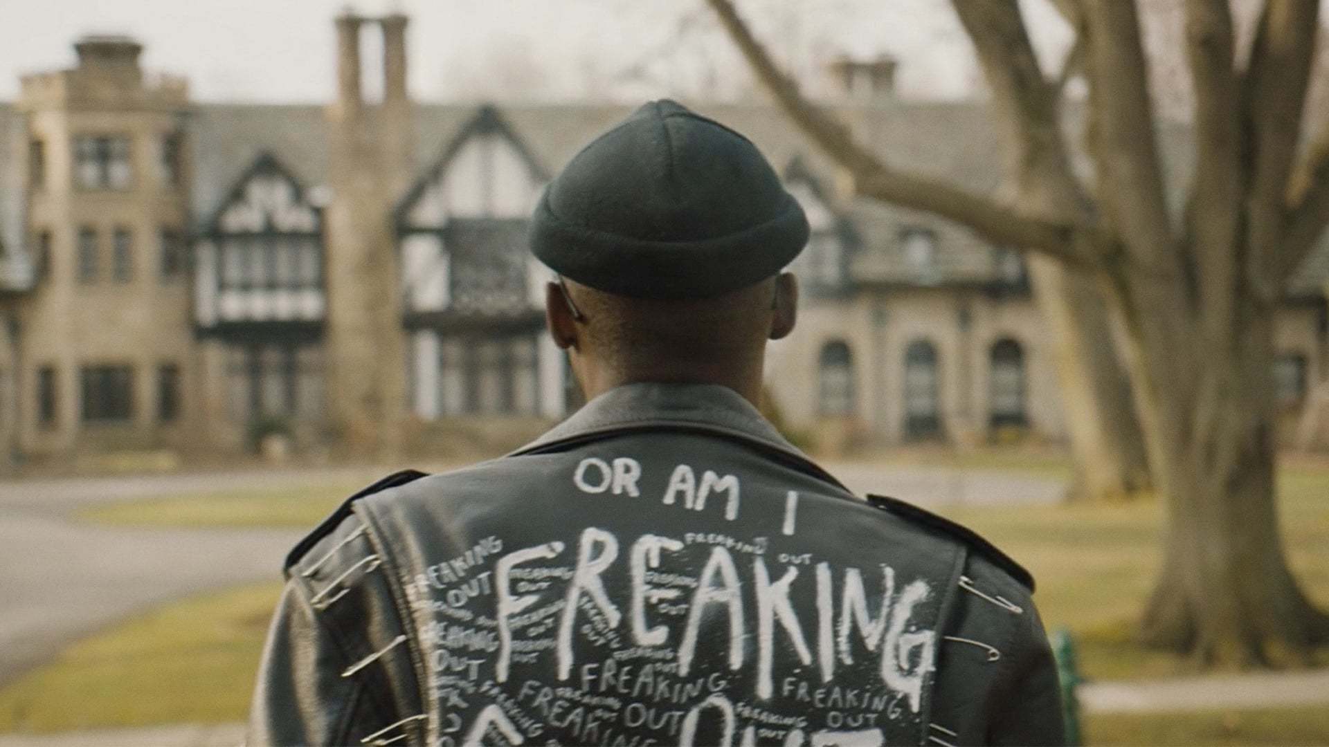 საკუთარი შვილი / Native Son