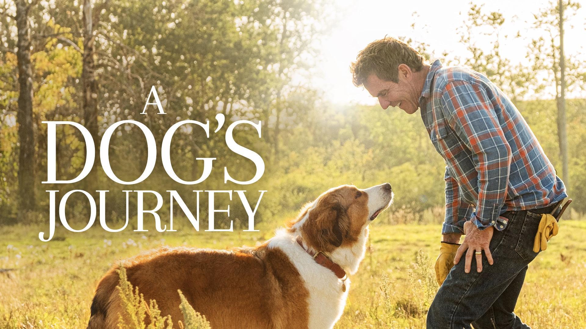 ერთი ძაღლის მოგზაურობა / A Dog's Journey