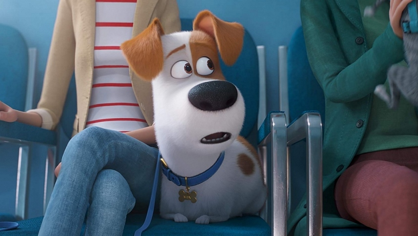 შინაური ცხოველების საიდუმლო ცხოვრება 2 / The Secret Life of Pets 2