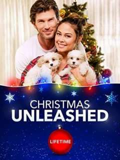 შობა დაიწყო / Christmas Unleashed