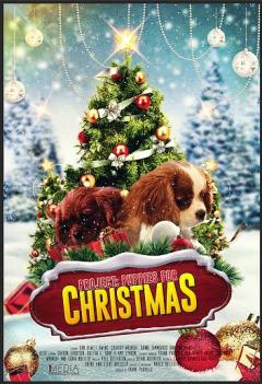პროექტი: ლეკვები შობისთვის / Project: Puppies for Christmas