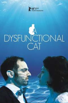 დისფუნქციური კატა / A Dysfunctional Cat