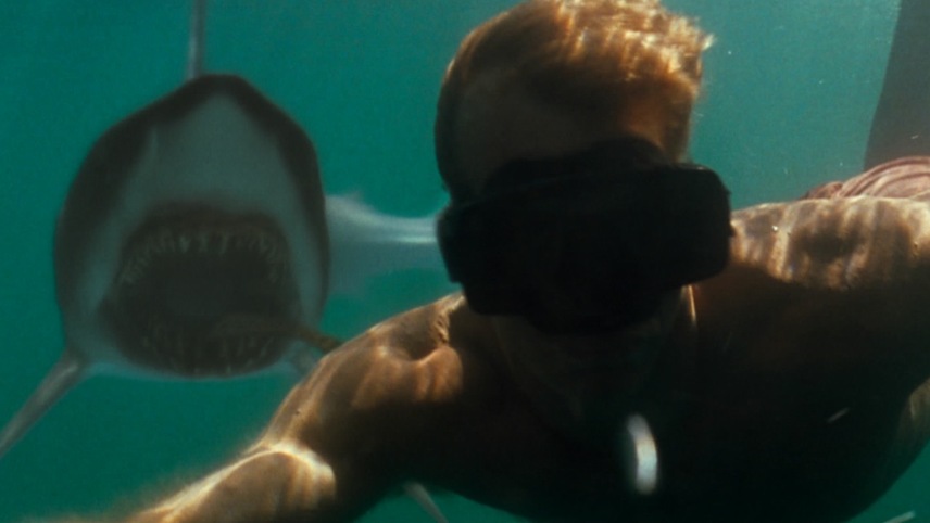 ღრმა ლურჯი ზღვა / Deep Blue Sea