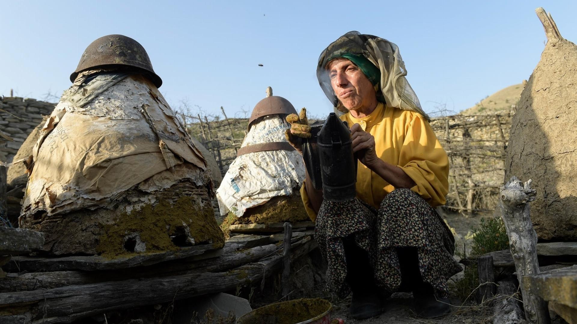 თაფლის ქვეყანა / Honeyland