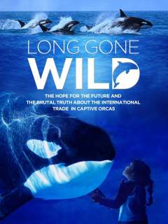 გადარეულები / Long Gone Wild