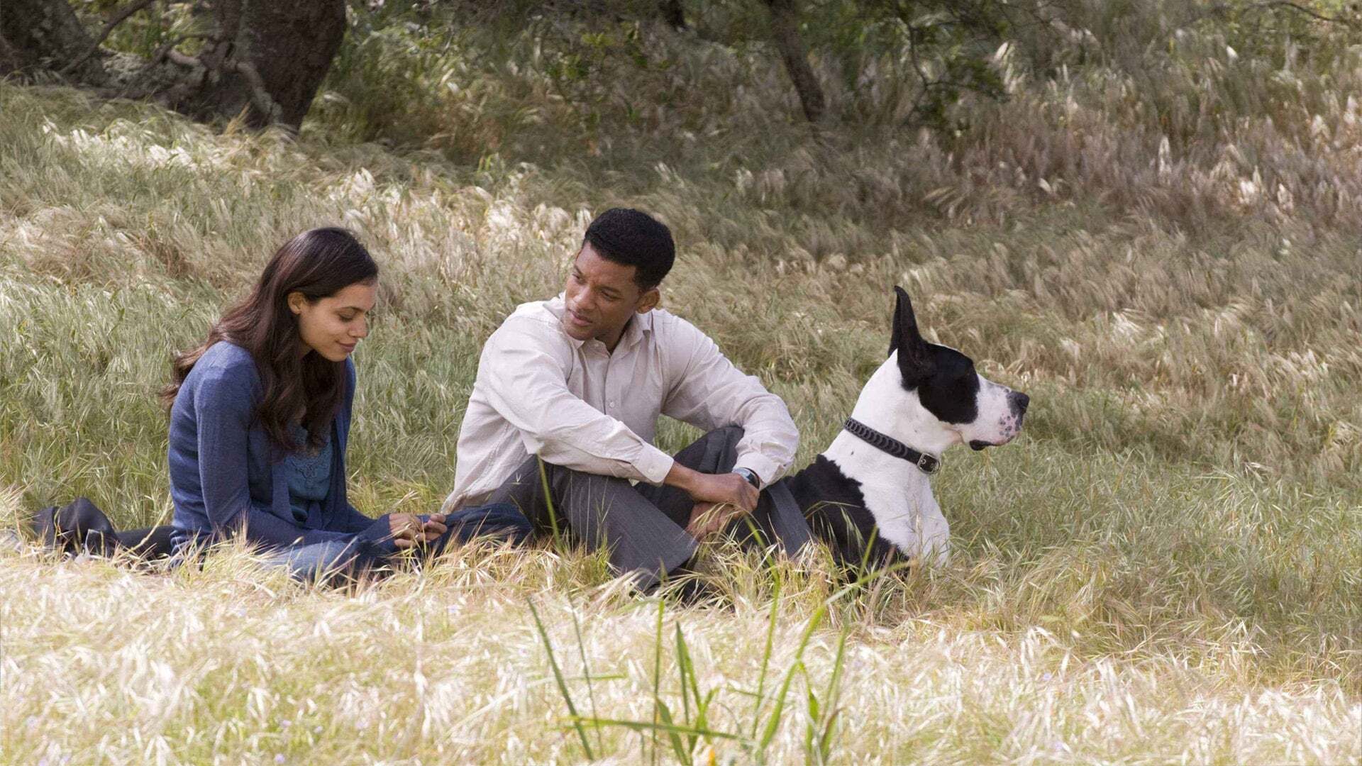 შვიდი სიცოცხლე / Seven Pounds