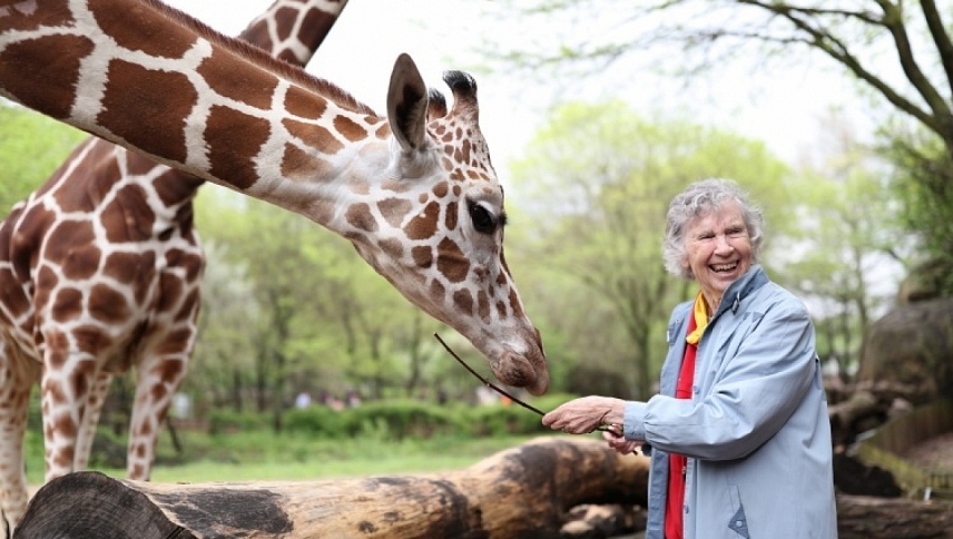 ქალი, რომელსაც უყვარს ჟირაფები / The Woman Who Loves Giraffes