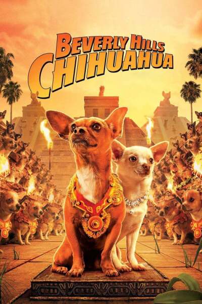 ჩიხუახუა ბევერლი –ჰილზიდან / Beverly Hills Chihuahua