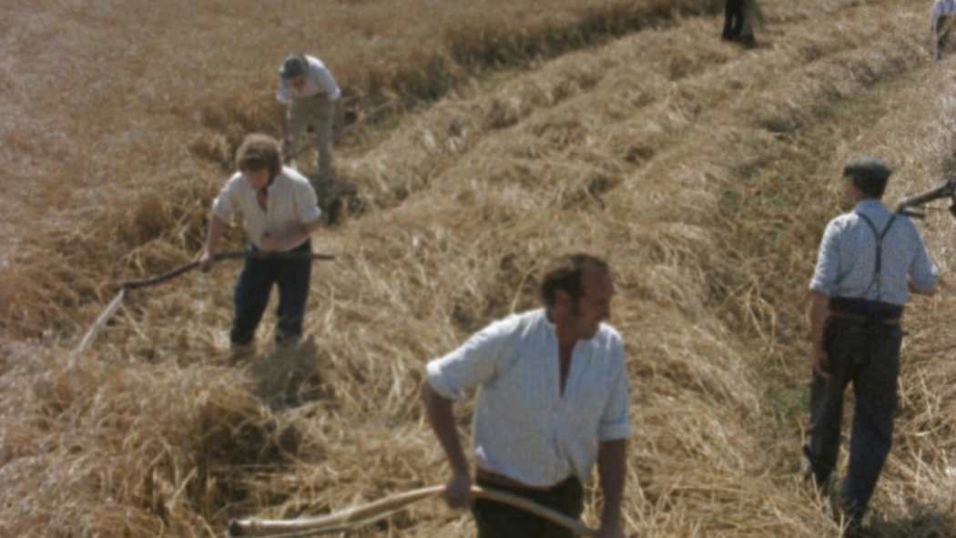რეკვიემი სოფელზე / Requiem for a Village