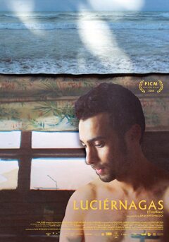 ციცინათელები / Luciérnagas