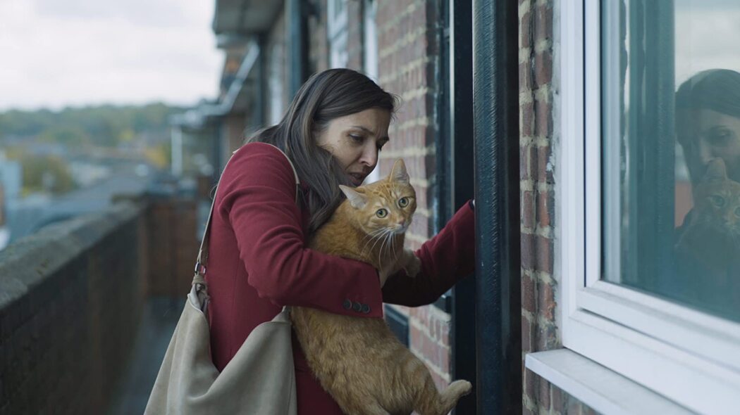 კატა კედელში / Cat in the Wall