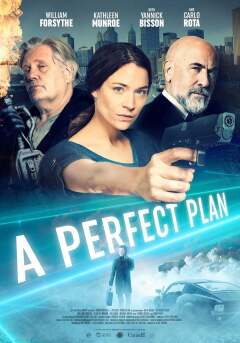 უნაკლო გეგმა / A Perfect Plan