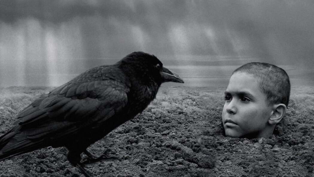 ფერადი ფრინველი / The Painted Bird