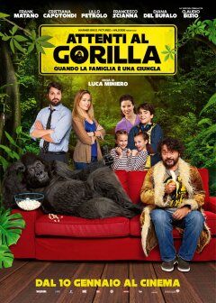 ფრთხილად, გორილა! / Beware the Gorilla